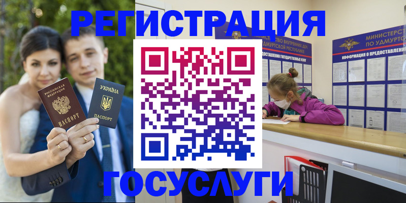 прописка поиск в Шлиссельбурге